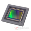 2520C002 Image